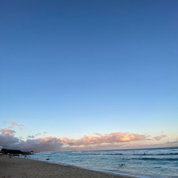 Meet your Posher, Coy - Picture 1 of 1